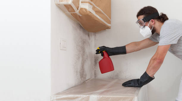 Professional Bathroom Mold Removal technician working in Boiling Springs, NC