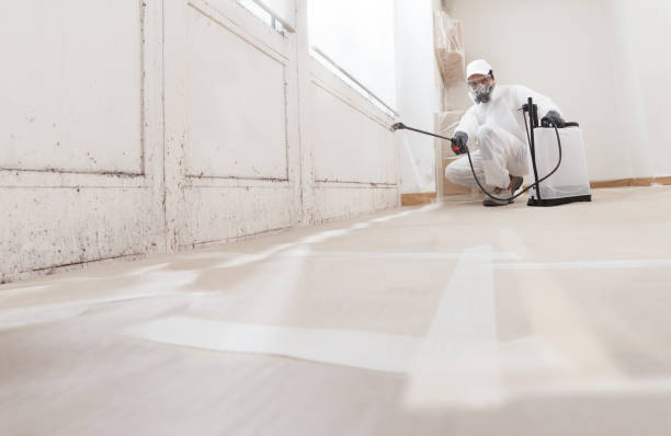 24/7 Emergency Bathroom Mold Removal experts in Boiling Springs, NC