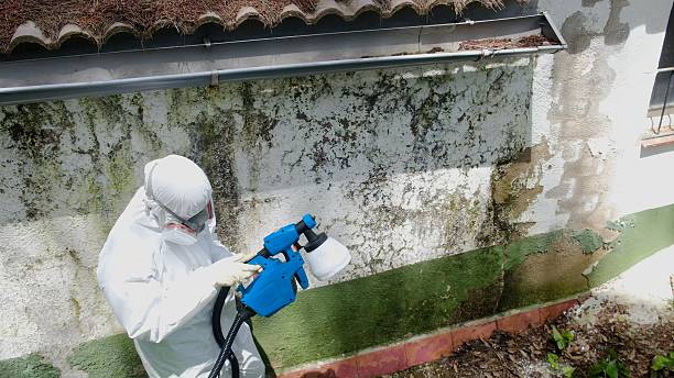 Top rated local Mold Remediation specialists in Boiling Springs, NC